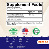 Vitamatic Valerian Root 20X Extract bottle with label