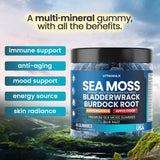 Vitamax Blended Vitamin & Mineral Gummies side view
