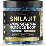 Vitamax Shilajit Gummies 60 Count front view