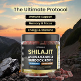 Vitamax Shilajit Gummies close-up showing individual gummies