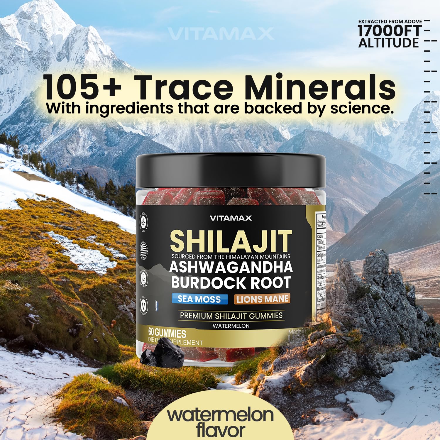 Vitamax Shilajit Gummies side view with nutritional information