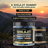 Vitamax Shilajit Gummies with a glass of water