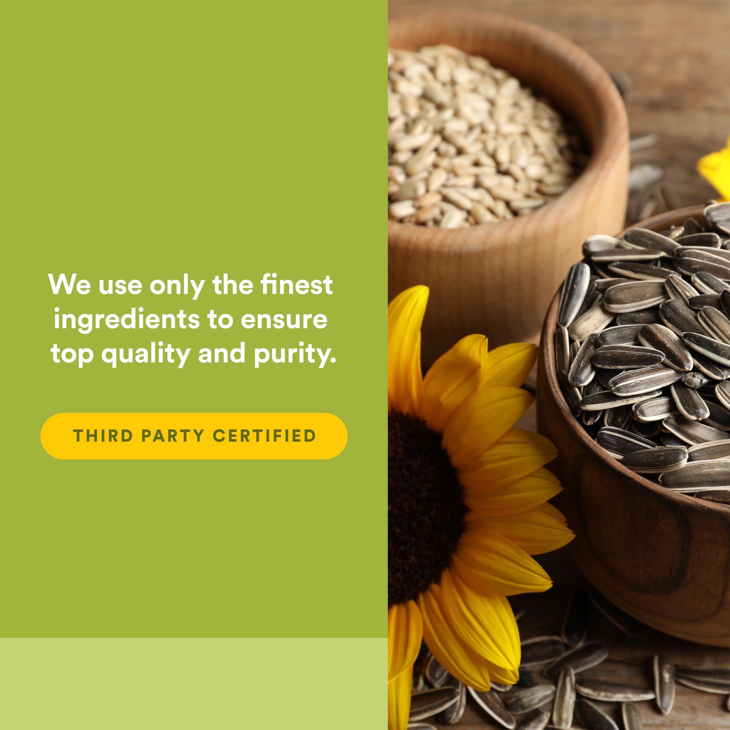 Vitamin E capsules lifestyle image with daily supplement routine