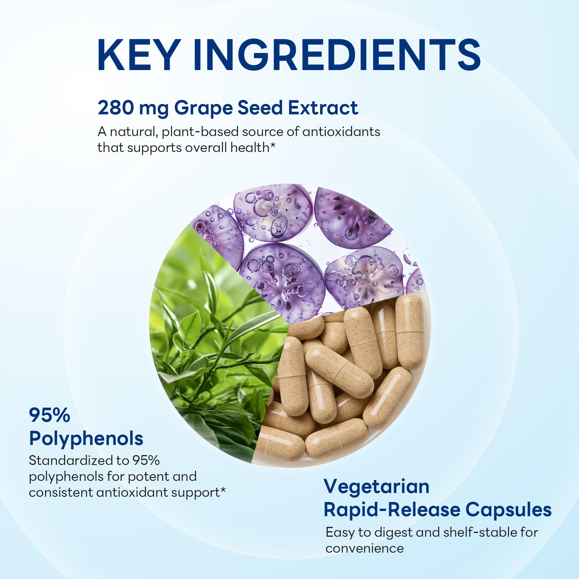 Vitamin World Grape Seed Extract bottle with cap open