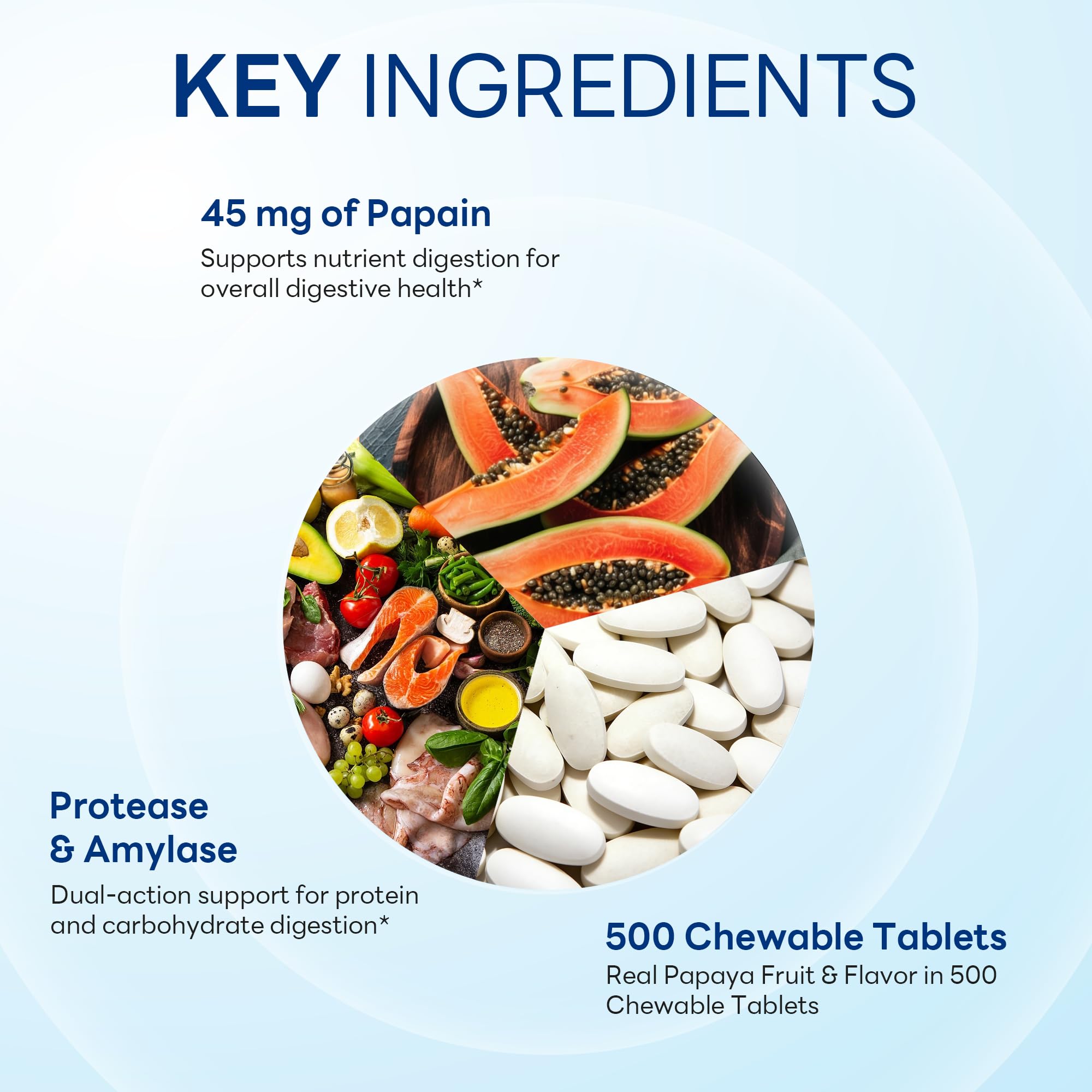 Vitamin World Papaya Enzymes Chewable Tablets packaging dimensions