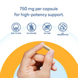 Vitamin World Psyllium Husk Capsules back view