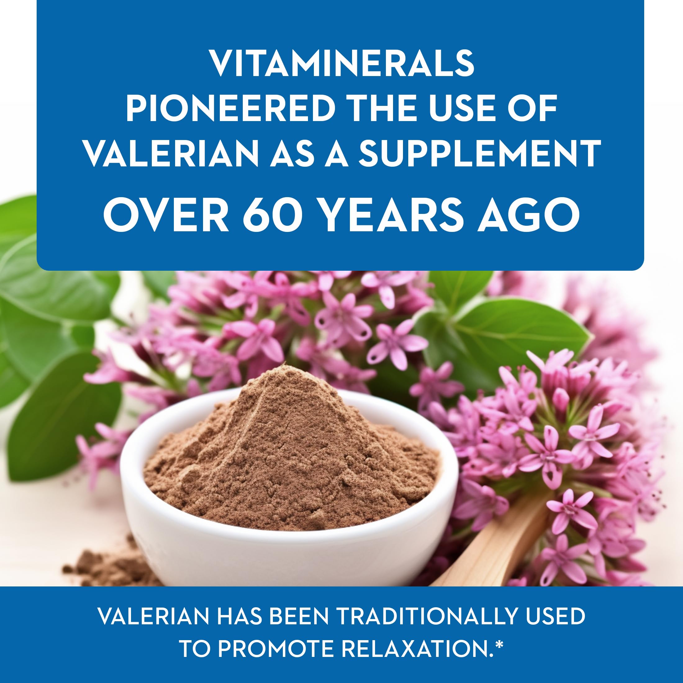 Vitaminerals Valerian Extract 350mg veggie capsules close-up