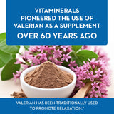 Vitaminerals Valerian Extract 350mg veggie capsules close-up