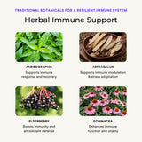 VitaminIQ Elderberry daily wellness Support Supplement capsule close-up