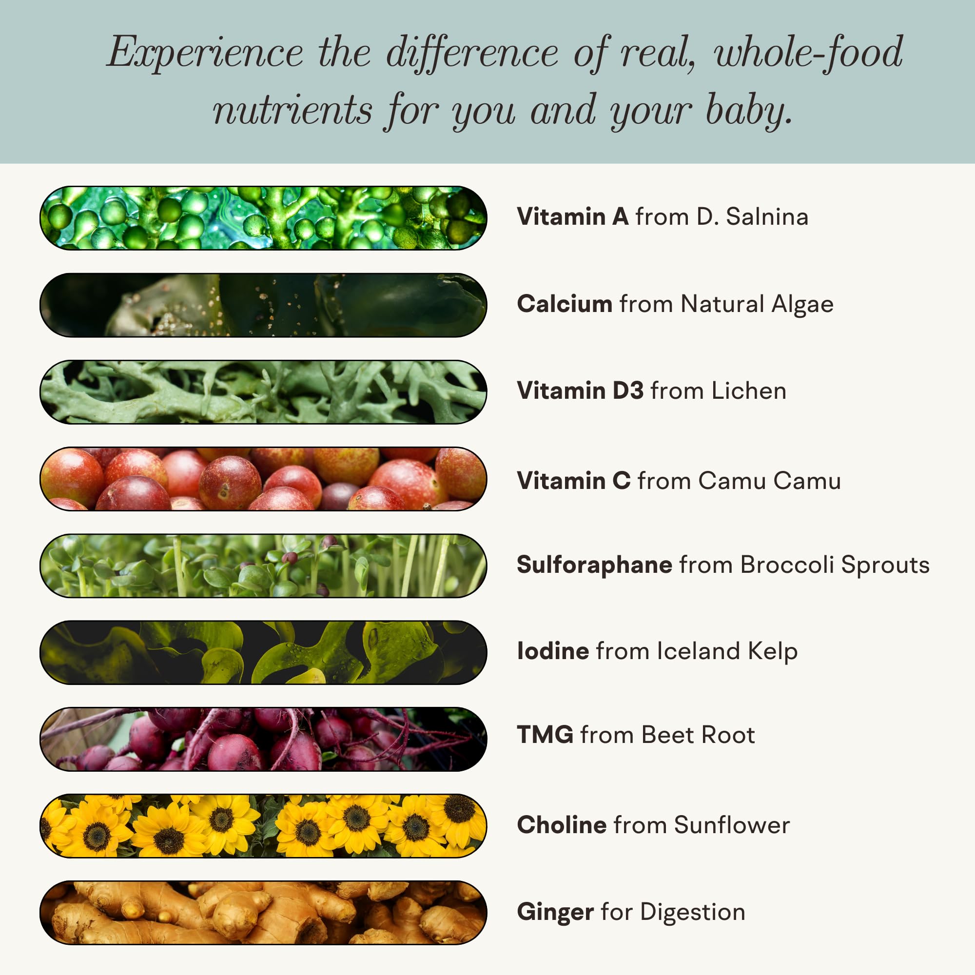 VitaminIQ Whole Food Prenatal Vitamins packaging details