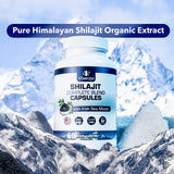 VITAMIZED Shilajit Capsules displayed with herbal elements