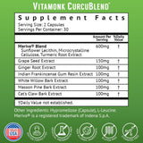 VitaMonk Turmeric Curcumin Ginger Complex 600mg Capsules with herbal background