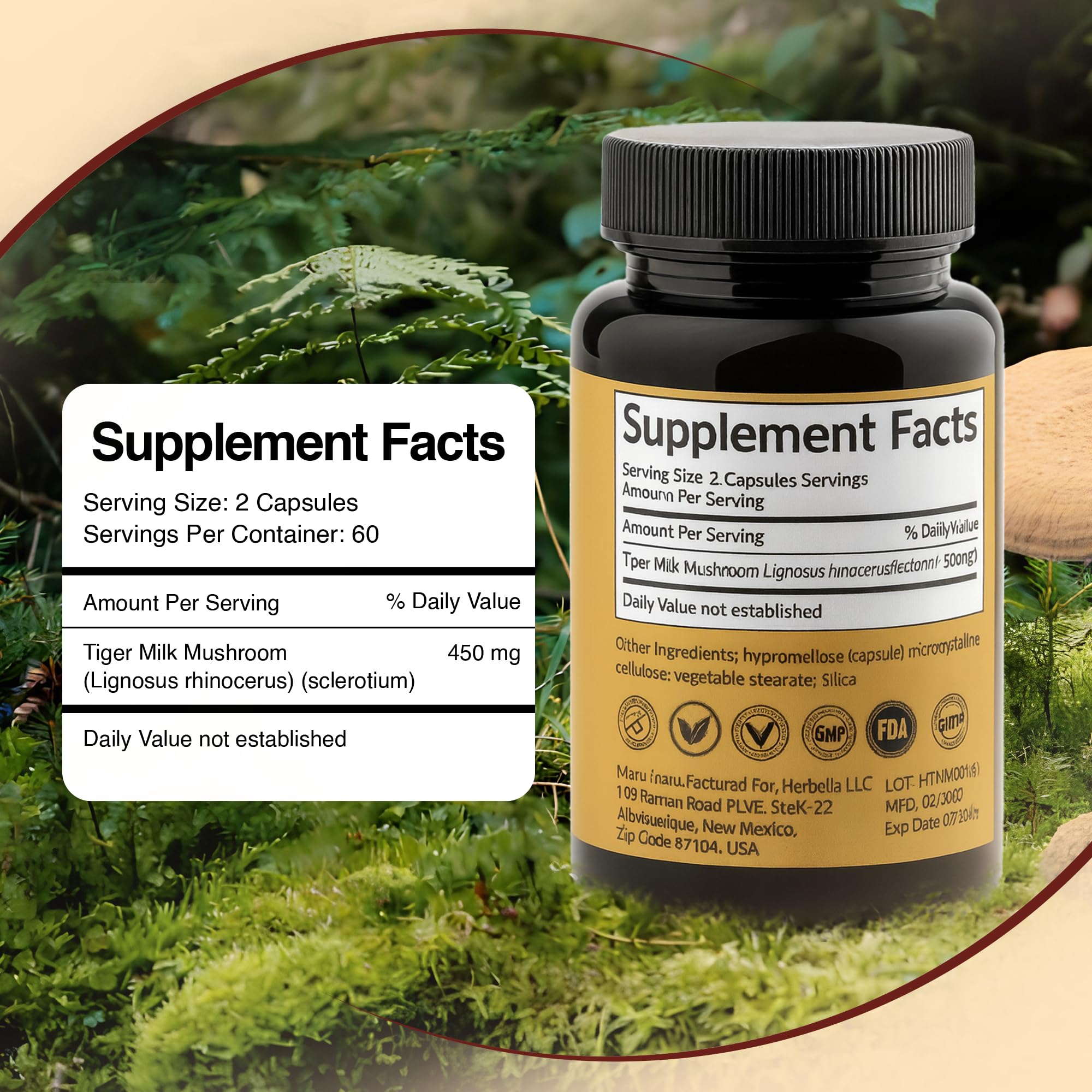 Vitamyco Tiger Milk Mushroom capsules in a health setting