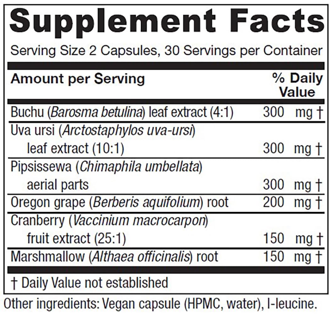 Vitanica Cranberry Extract Supplement 25:1 bottle side view