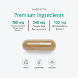 Vitanica Fertility Support Supplement capsule close-up