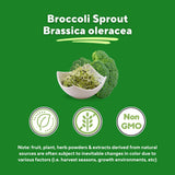 Vitapia Broccoli Sprout Capsule Supplement capsules in hand
