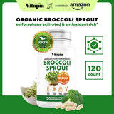 Vitapia Broccoli Sprout Capsule Supplement side view showing veggie capsules
