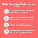 Vitapia Coffee Fruit Caffeine Capsules with ingredients