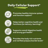 Vitapia Fucoidan 1000mg capsule supplement bottle with label