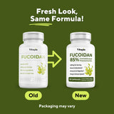 Vitapia Fucoidan 1000mg capsule supplement side view