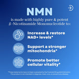 Vitapia NMN Supplement 750mg capsule side view