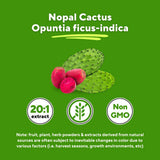 Vitapia Nopal Cactus Capsule Supplement 20:1 Extract with measuring spoon