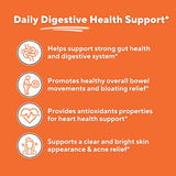 Vitapia Papaya Leaf Extract Supplement 1500mg capsule close-up