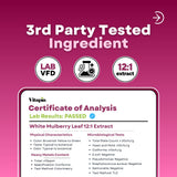 Vitapia White Mulberry Leaf Extract Capsules 12:1 capsule close-up