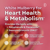 Vitapia White Mulberry Leaf Extract Capsules 12:1 packaging