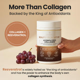VITASEI Hydrolyzed Collagen Peptides Powder 454g packaging