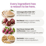 VITASEI Menomax Balance Menopause Support Supplement capsules close-up