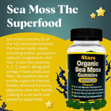 Vitastars Sea Moss Gummies side view of the bottle