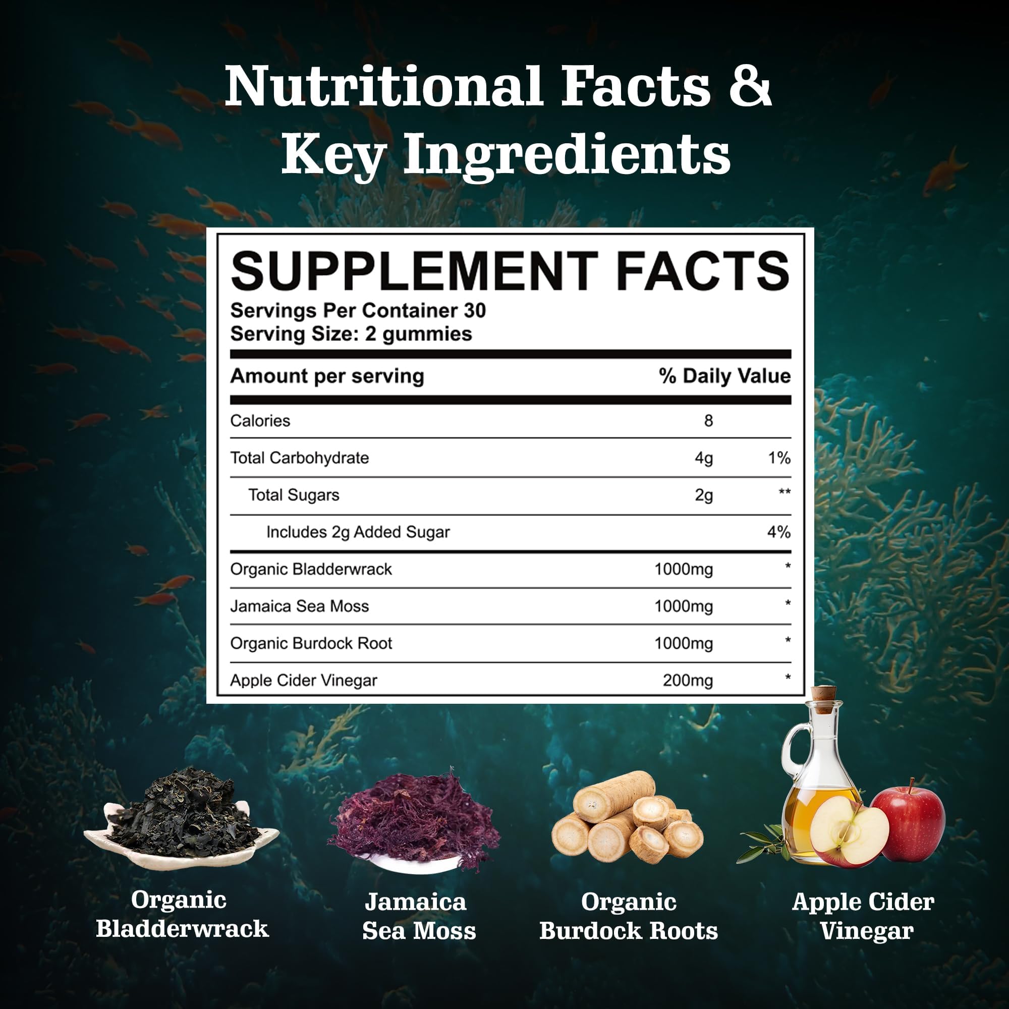 Vitastars Sea Moss Gummies with apple cider vinegar ingredient label