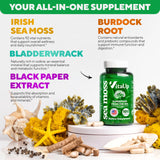 VitaUp Irish Sea Moss Capsules 500mg back view with ingredient list