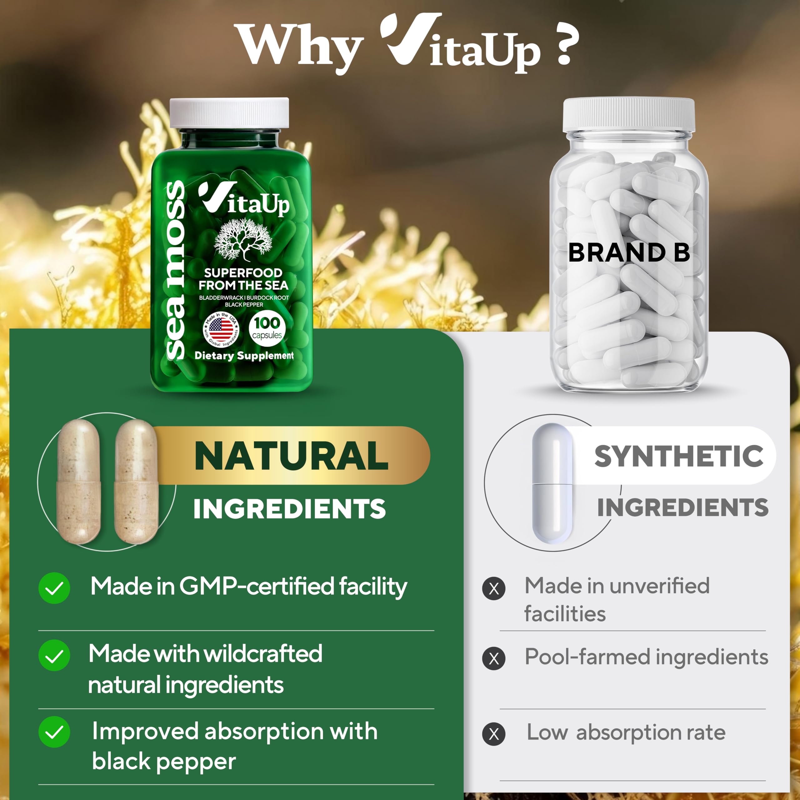 VitaUp Irish Sea Moss Capsules 500mg packaging with natural background