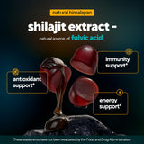 VitaUp Shilajit Gummies close-up of gummies