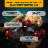 VitaUp Shilajit Gummies ingredients list