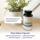 Vitauthority GlucoVantage Dihydroberberine Supplement bottle with Ceylon cinnamon sticks