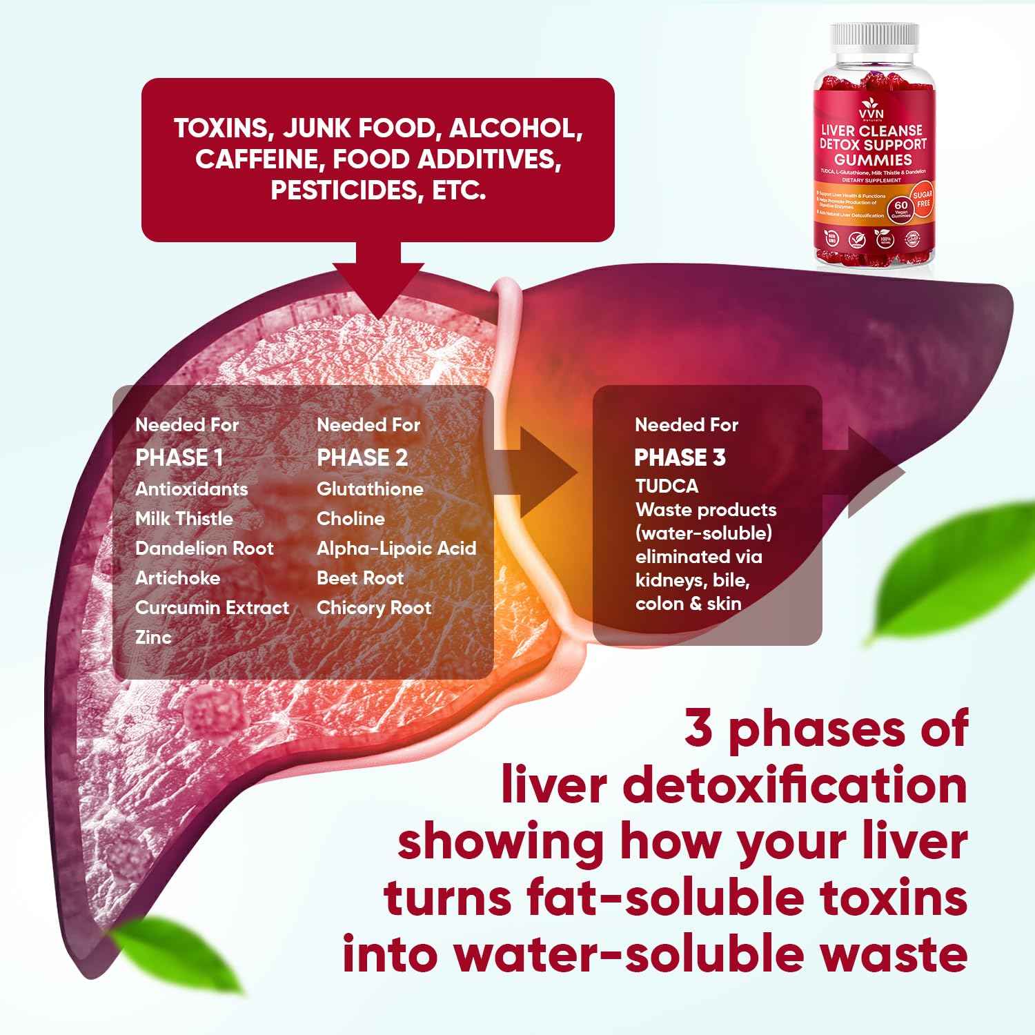 VitaVida Milk Thistle Gummies side view with ingredients
