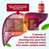 VitaVida Milk Thistle Gummies side view with ingredients