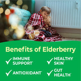 VitaWorks Kids Elderberry Chewables nutrition facts label close-up