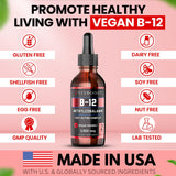 VITBOOST Vegan Liquid B-12 Raspberry 136g packaging