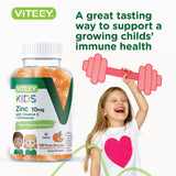 Viteey Zinc Gummies with Vitamin C and Echinacea ingredients