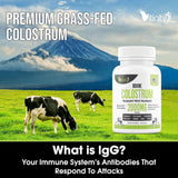 VITINITY Colostrum Powder 132g scoop next to the container