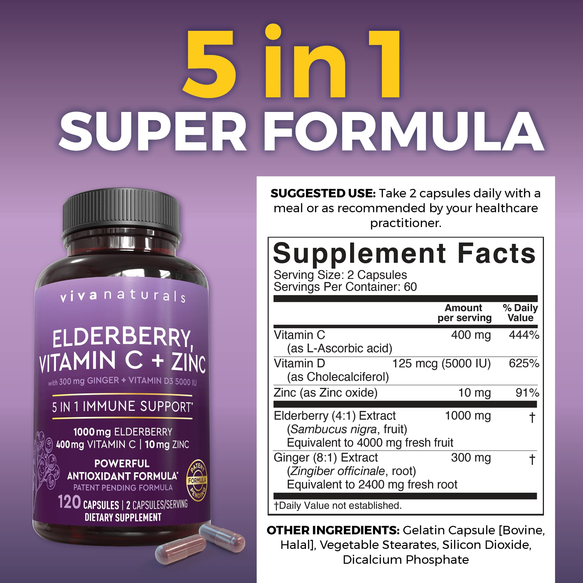 Viva Naturals Elderberry Extract 1000mg back view with ingredients