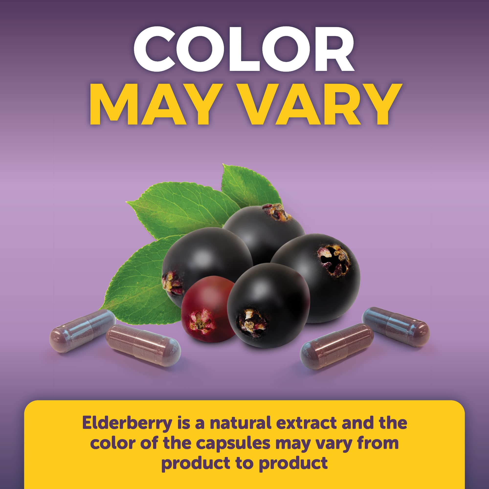 Viva Naturals Elderberry Extract 1000mg opened bottle