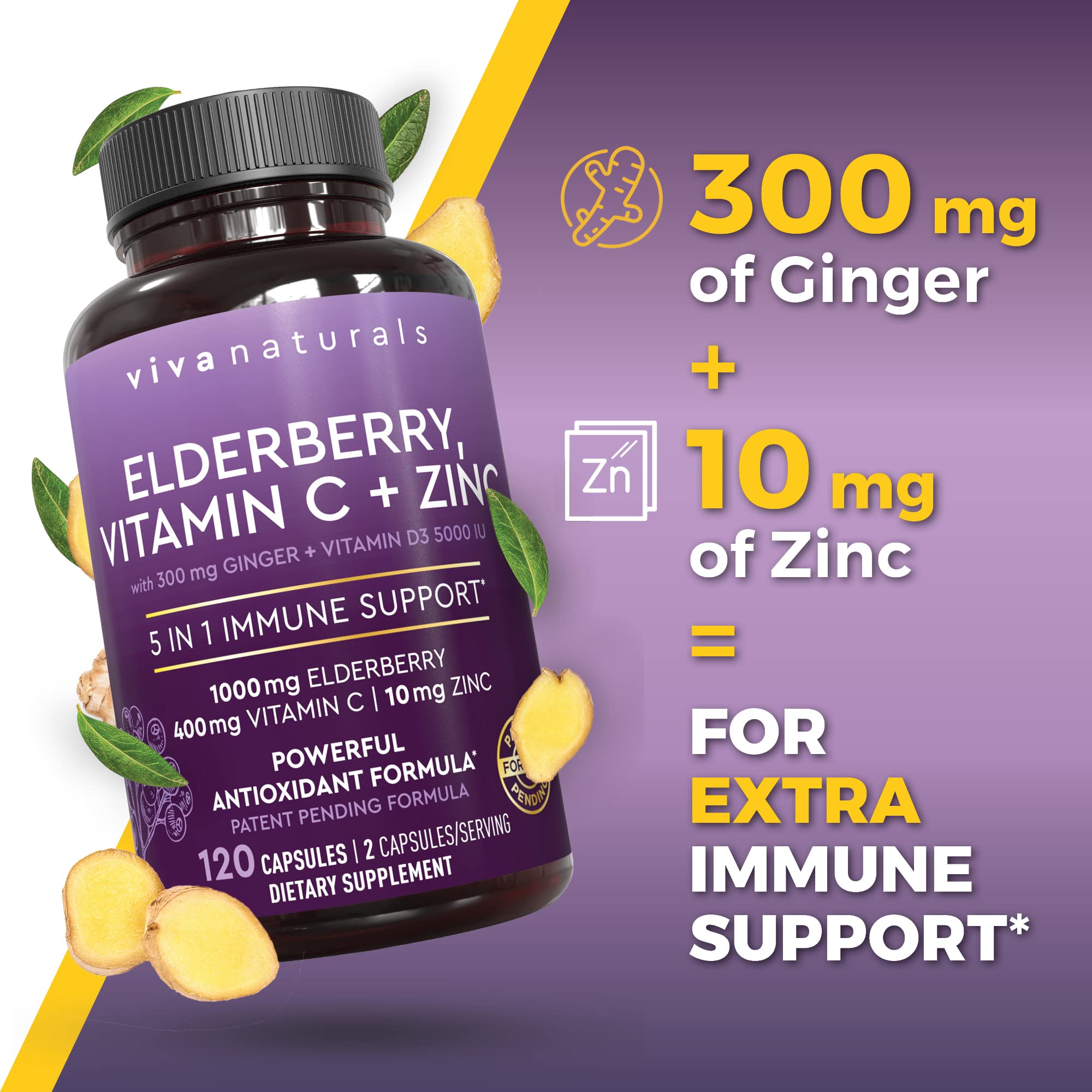 Viva Naturals Elderberry Extract 1000mg showing serving size