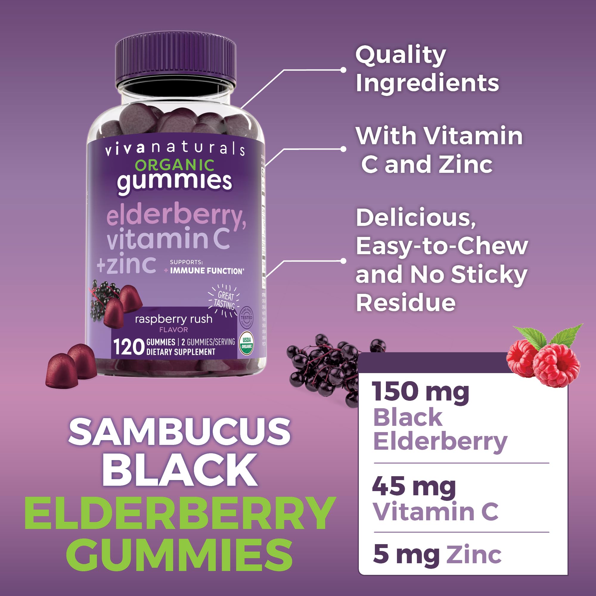 Viva Naturals Elderberry Gummies close-up of gummies