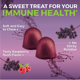 Viva Naturals Elderberry Gummies with a hand holding two gummies