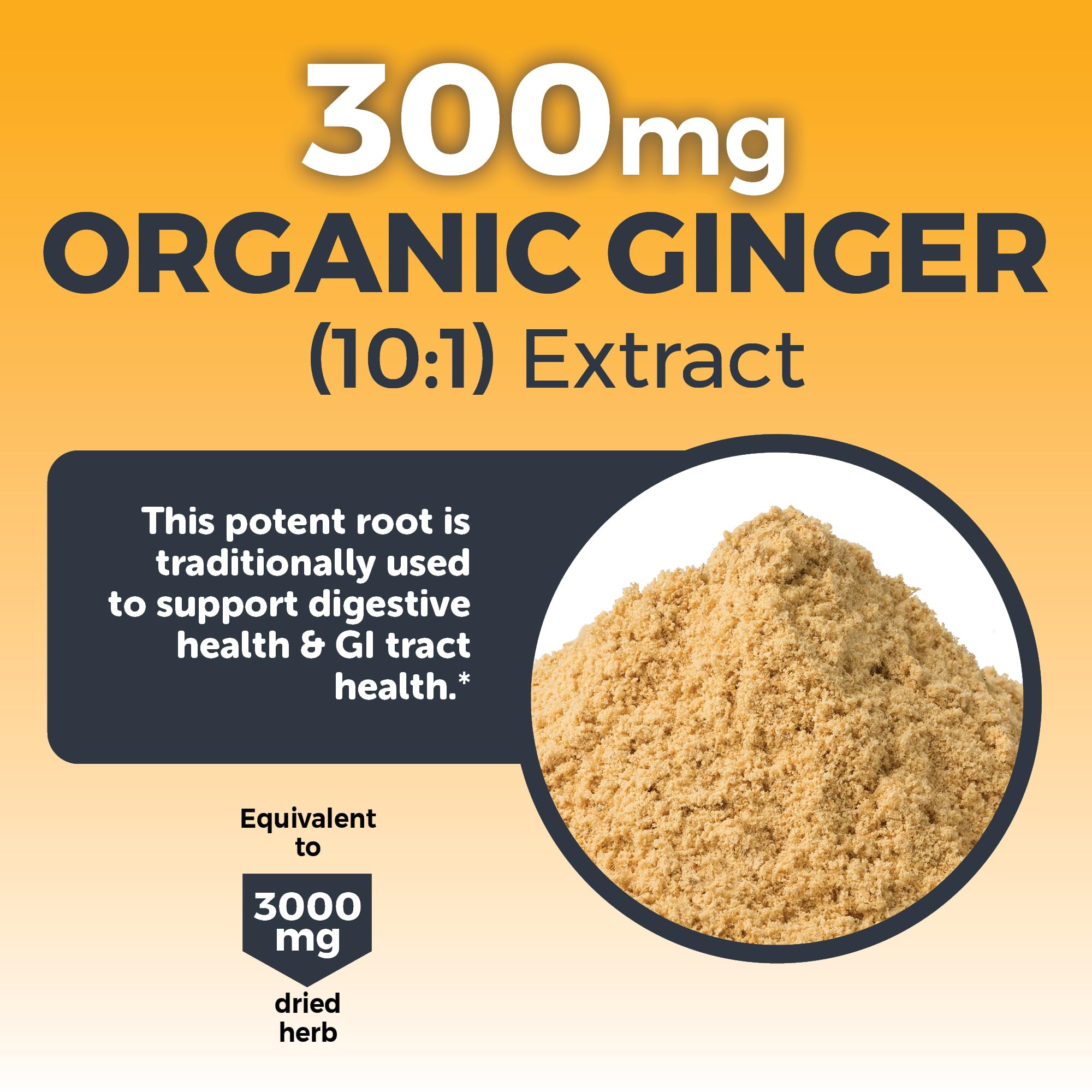Viva Naturals Turmeric and Ginger Supplement in a lifestyle setting